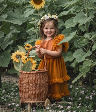 Sunflowers Blumen Kids Sommer Sonne 2025-65